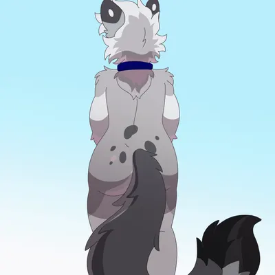 nixuelle created by jonky