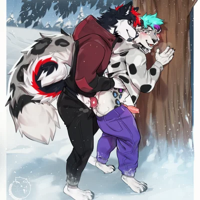 sebastian the husky, silversnep created by nerton