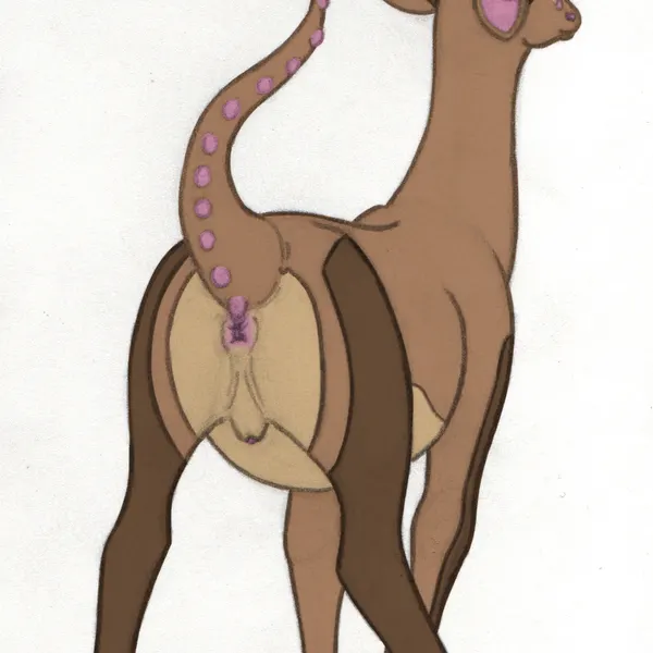 whinn doe created by whinndoe (artist)