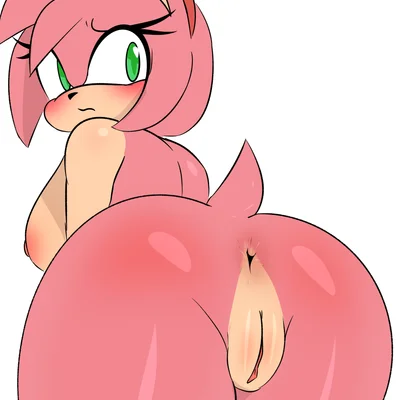 amy rose (sega, sonic the hedgehog (series)) created by lawgx