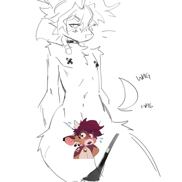 ash (pandashk) created by pandashk