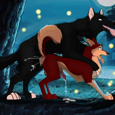 bandit (holidaypup) created by holidaypup