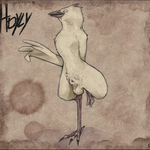 birdman created by hdyly