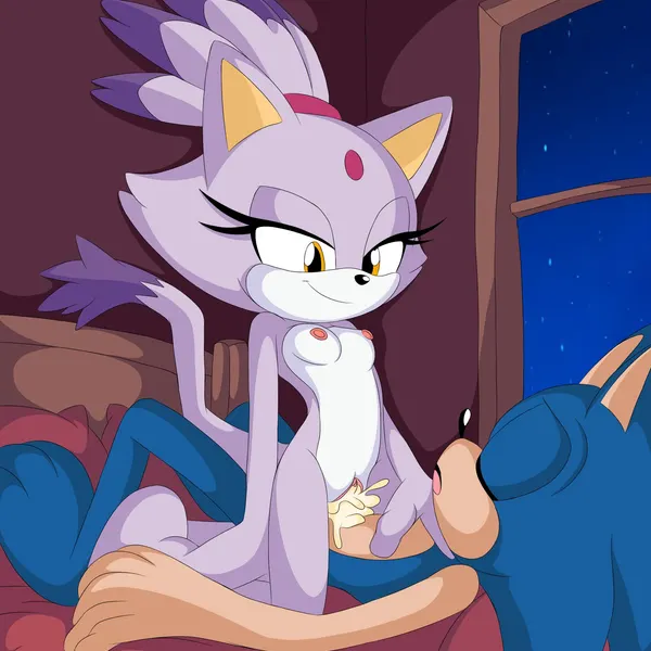 blaze the cat, sonic the hedgehog (sega, sonic the hedgehog (series)) created by ichigo980968541, j nsfw