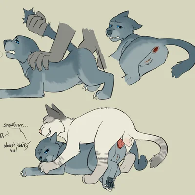bluestar (warriors), snowfur (warriors) (warriors (book series)) created by puppyratcat