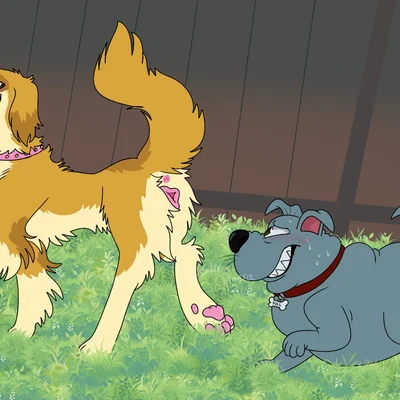 bull (fixed), honey (fixed) (fixed (film)) created by chimeracocks, creatingchimera