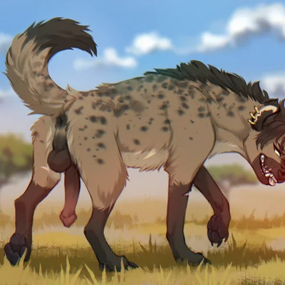 created by joonkorner