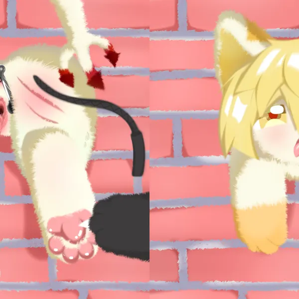 created by shiningcanc