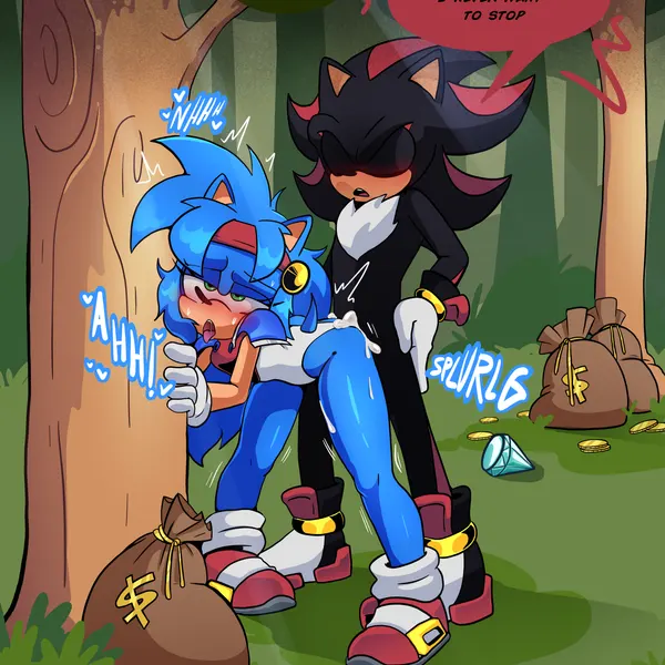 fan character, selena the popful hedgehog, shadow the hedgehog (falcom, popful mail) created by xao art