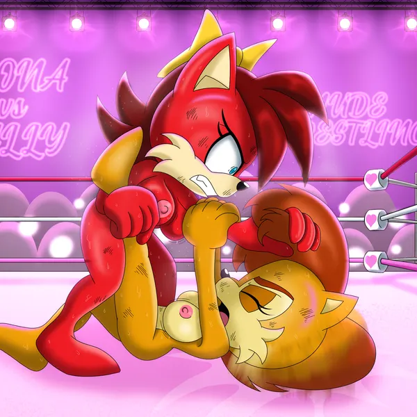 fiona fox, sally acorn (archie comics, sega) created by toyminator900