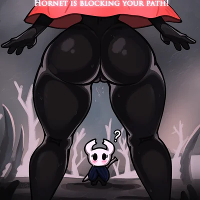 hornet (hollow knight), the knight (hollow knight) (hollow knight (franchise), team cherry) created by cjuice