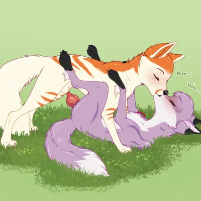lyrilla (lyrenry), raito (hekkibluefox) created by rukifox