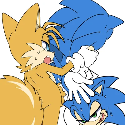 miles prower, sonic the hedgehog (sega, sonic the hedgehog (series)) created by senshion