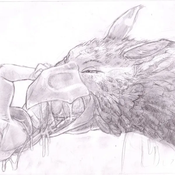 mythology created by jeri kleinlowe