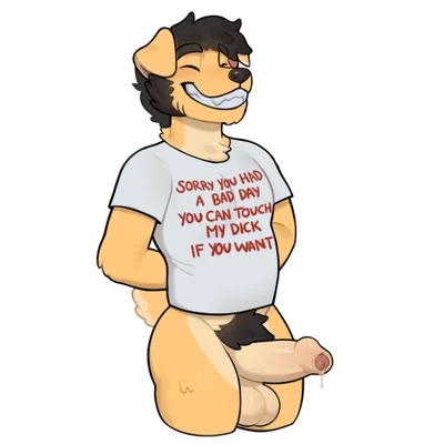 nao o'connor created by frank motta