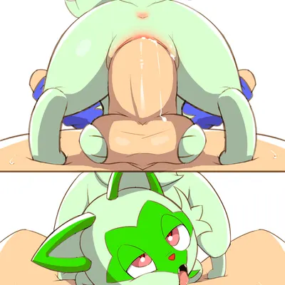 nintendo, pokemon created by creedle