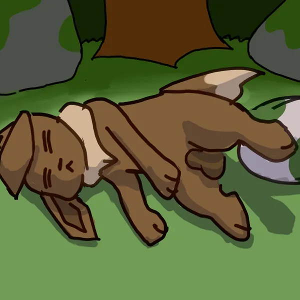 nintendo, pokemon created by furinmyeyes