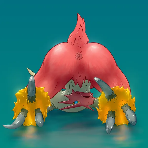 nintendo, pokemon created by tohjoma