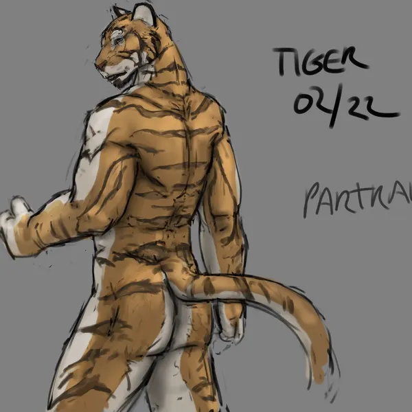 partran (tiger) created by jeri kleinlowe