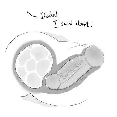 pholi created by phosenpai