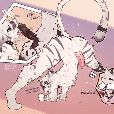 quinn (notsushii), sashimii (notsushii) created by notsushii