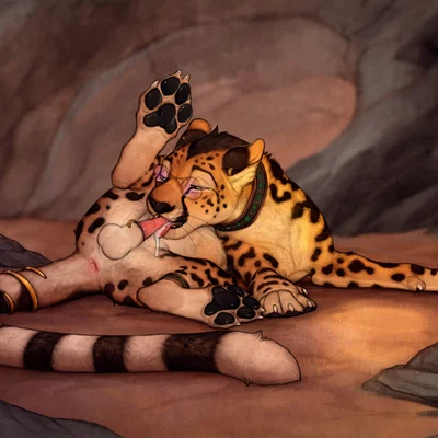 roidhcheetah created by anchee