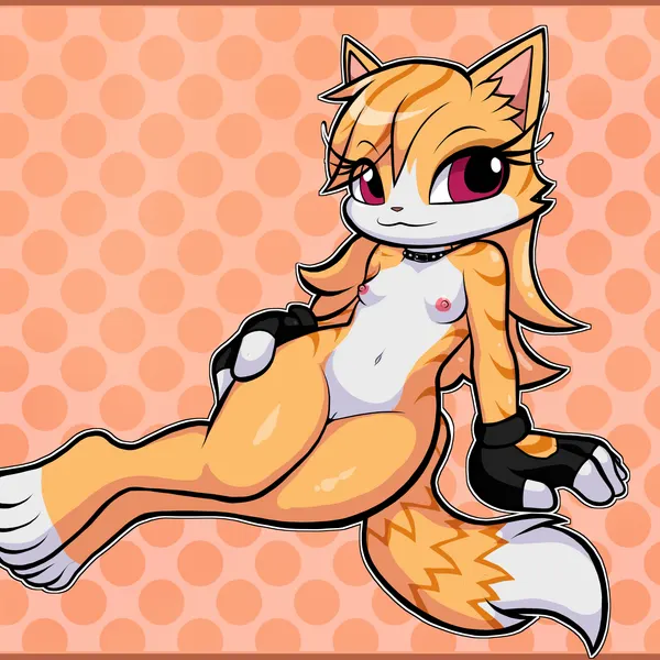 shooki the cat, surechie (taiwan coolfox), xiao qing (taiwan coolfox) created by blackmore