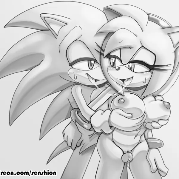 amy rose, sonic the hedgehog (sega, sonic the hedgehog (series)) created by senshion