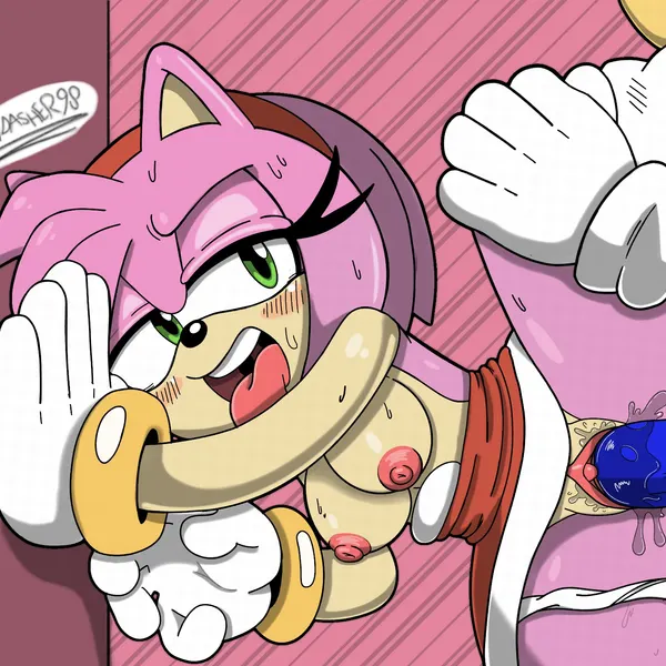 amy rose, sonic the hedgehog (sega, sonic the hedgehog (series)) created by spindasher98