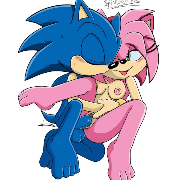 amy rose, sonic the hedgehog (sega, sonic the hedgehog (series)) created by spindasher98