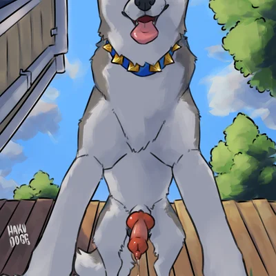 anvil (hakudoge) created by hakudoge