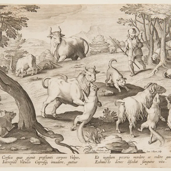 created by jan van der straet (stradanus)