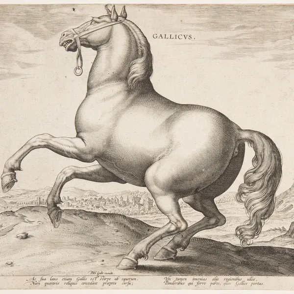 created by jan van der straet (stradanus)