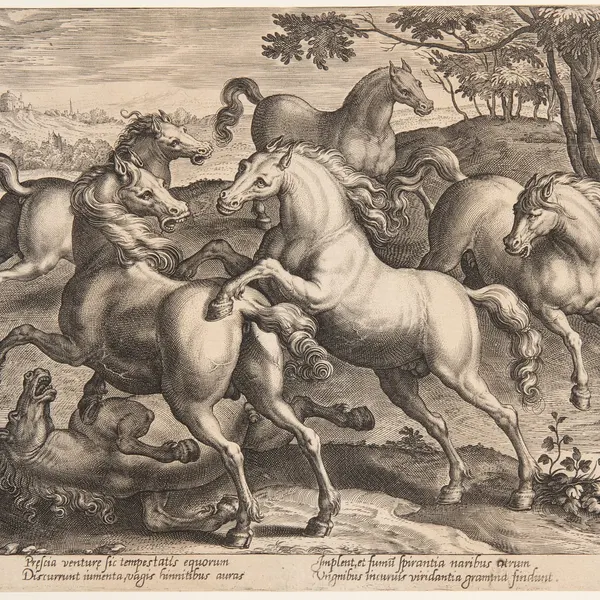 created by jan van der straet (stradanus)
