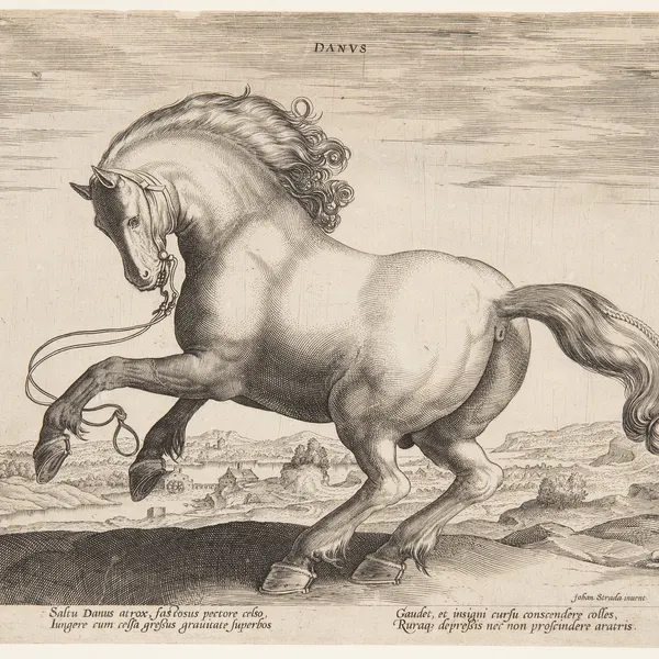created by jan van der straet (stradanus)