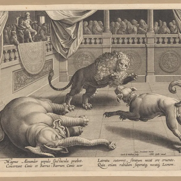 created by jan van der straet (stradanus)