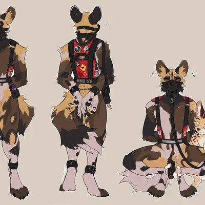 fari paredes, lex (servalex) created by strayserval