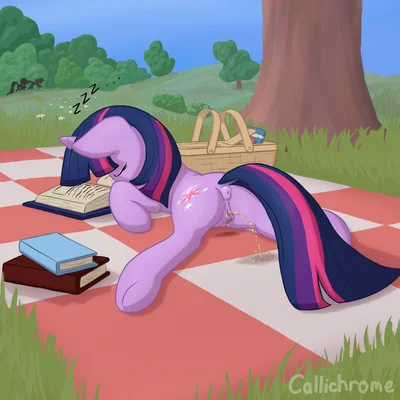 fluttershy (mlp), rainbow dash (mlp), twilight sparkle (mlp) (friendship is magic, hasbro) created by callichrome