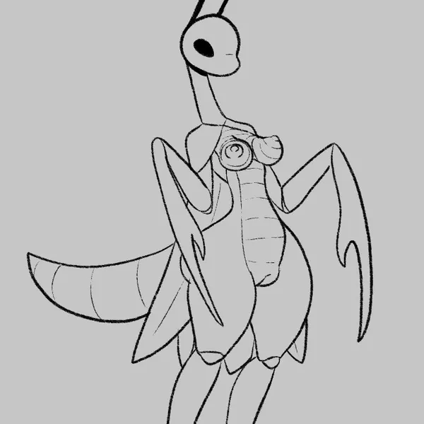 hollow knight (franchise), team cherry created by lewdydoodls