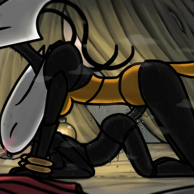 hornet (hollow knight), shakra (hollow knight: silksong) (hollow knight: silksong, hollow knight (franchise))