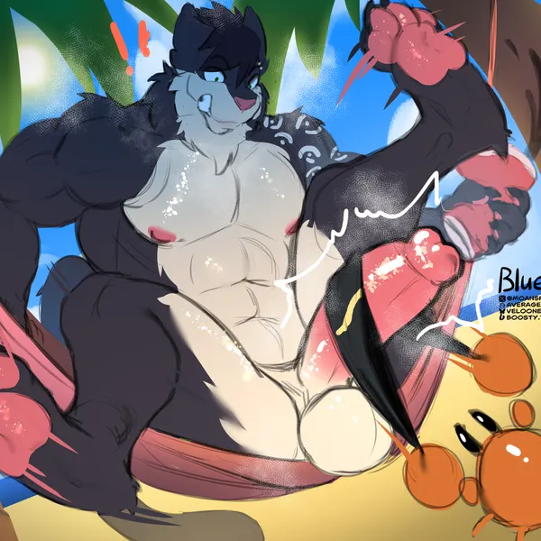 kotarocat created by bluevelo