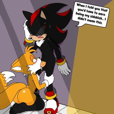 miles prower, shadow the hedgehog (sega, sonic the hedgehog (series)) created by soulyagami64