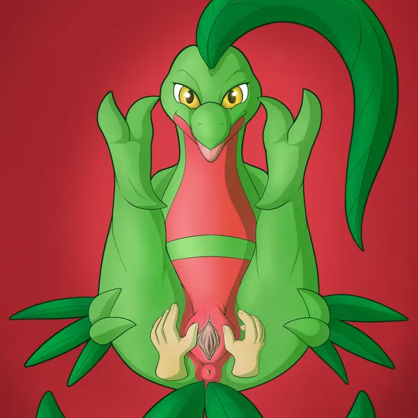 nintendo, pokemon created by draconix, itsdraconix