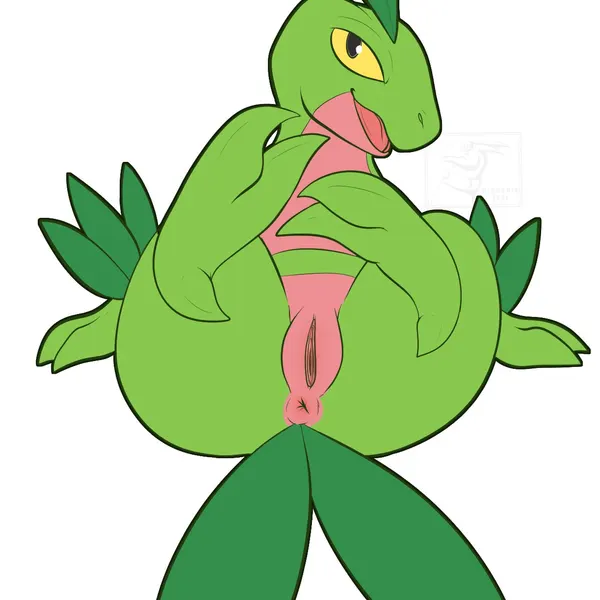 nintendo, pokemon created by draconix, itsdraconix
