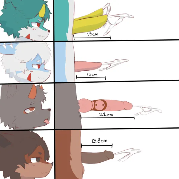 penis lineup created by zachyyy