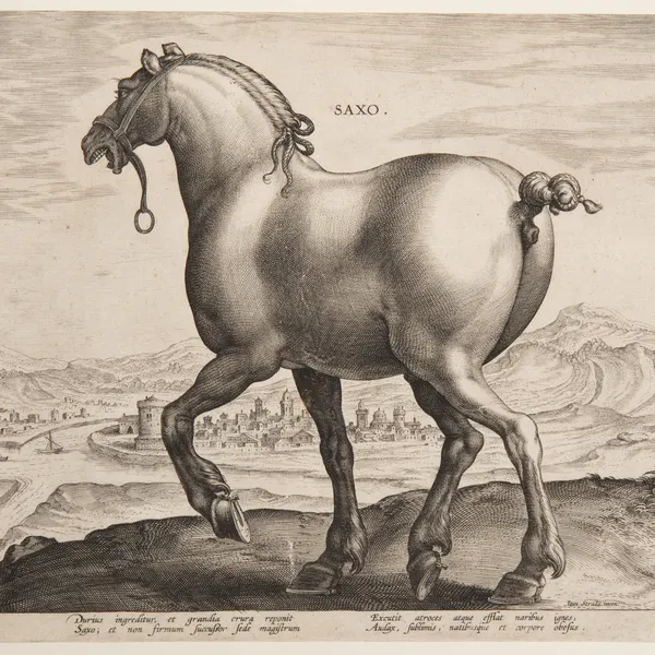 public domain created by jan van der straet (stradanus)