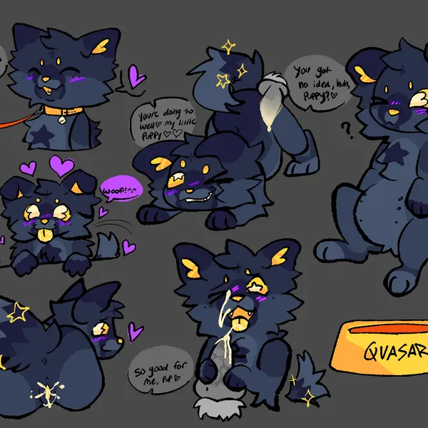 quasar (moonkitty03) created by moonkitty03