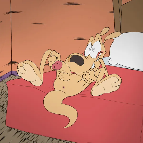 rocko rama (nickelodeon, rocko's modern life) created by sparkle cat