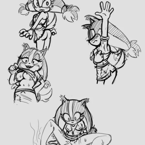 sticks the jungle badger (sega, sonic boom) created by yotomoe