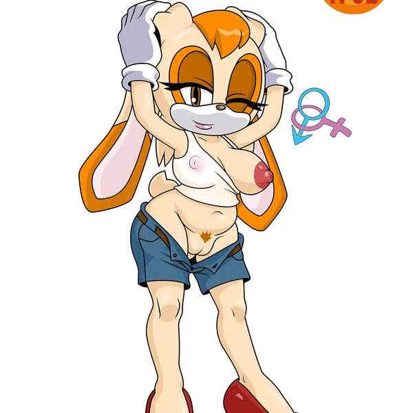 vanilla the rabbit (sega, sonic the hedgehog (series)) created by zeta r-02